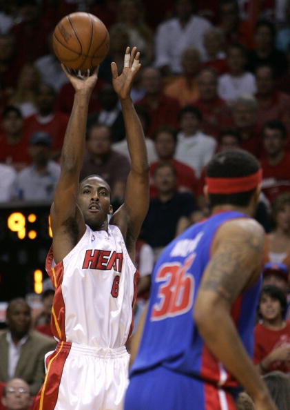 观赏性的足 观赏性的足